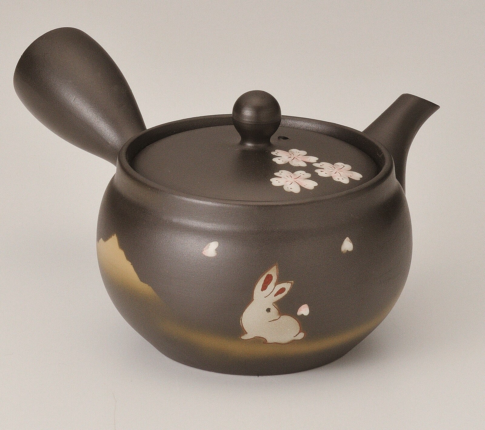 Fusensaku Kuro Usagi Black Tokoname-yaki Kyusu