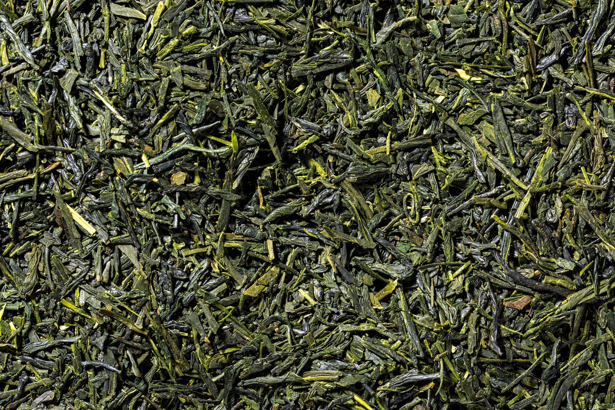 Sencha