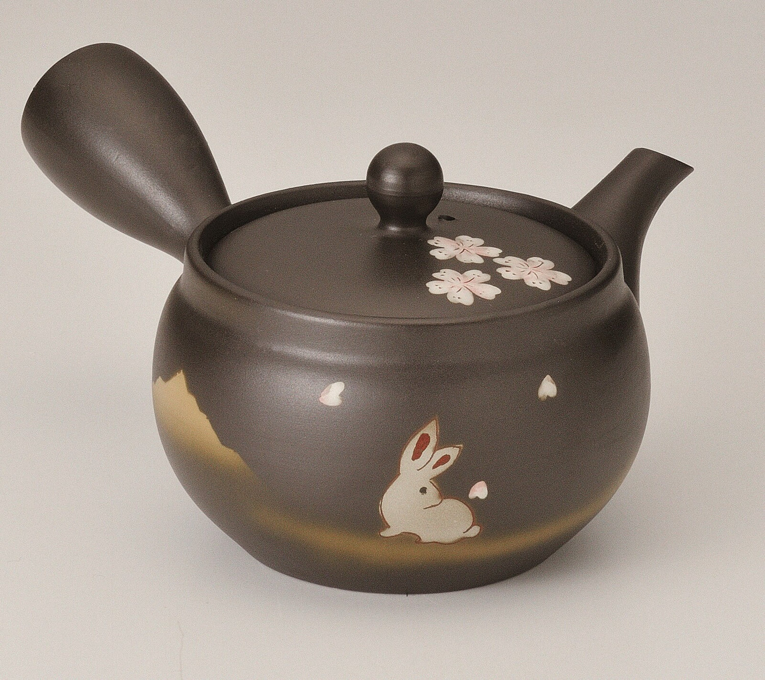 Fusensaku Kuro Usagi Black Tokoname-yaki Kyusu